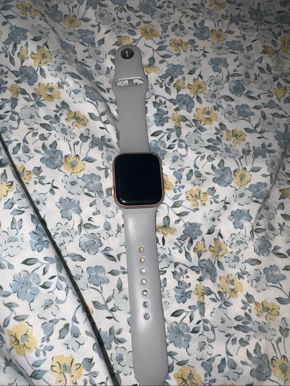 Series 5 Apple Watch